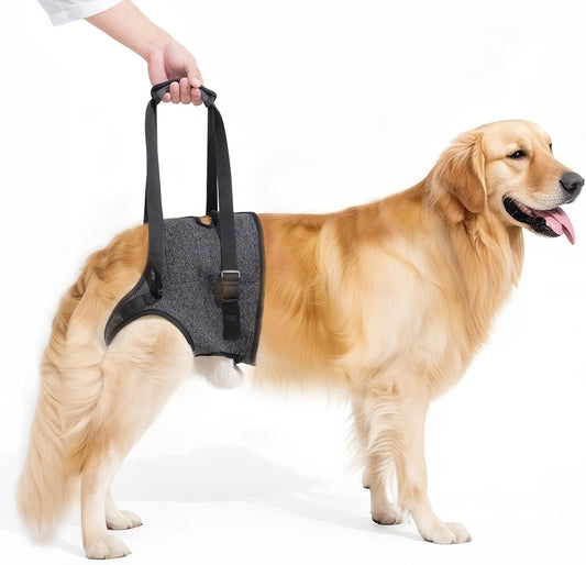 Dog Sling for Large Dogs Hind Leg Support, Adjustable Soft Padded Harness for Weak, Injured, or Disabled Back Legs, Helps Support Senior, Arthritic, and Mobility-Impaired Dogs
