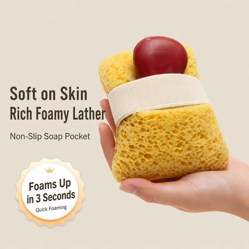 🧽 2-Pack Soft Bath Sponge with Soap Pocket | Quick Foaming Shower Scrub Sponge for Smooth Skin & Daily Body Cleaning ✨