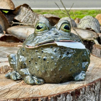 🐸🤪 Whimsical Toad Tissue Box Cover｜Hilarious Home Decor