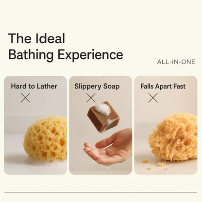 🧽 2-Pack Soft Bath Sponge with Soap Pocket | Quick Foaming Shower Scrub Sponge for Smooth Skin & Daily Body Cleaning ✨