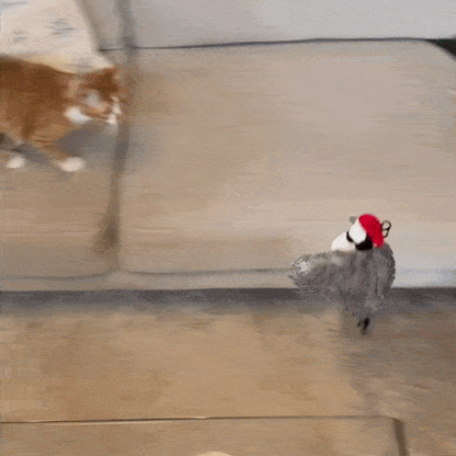 🐦🐱 Flappy Bird Cat Toy – Funny Interactive Flapping Bird Toy for Cats, Realistic Flapping Wings & Engaging Movement, Interactive Teaser Toy to Keep Cats Chasing, Pouncing & Playing, Fun Indoor Pet Toy for Kittens & Adult Cats 😂🐾