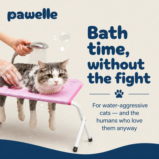 Cat Bath Stand